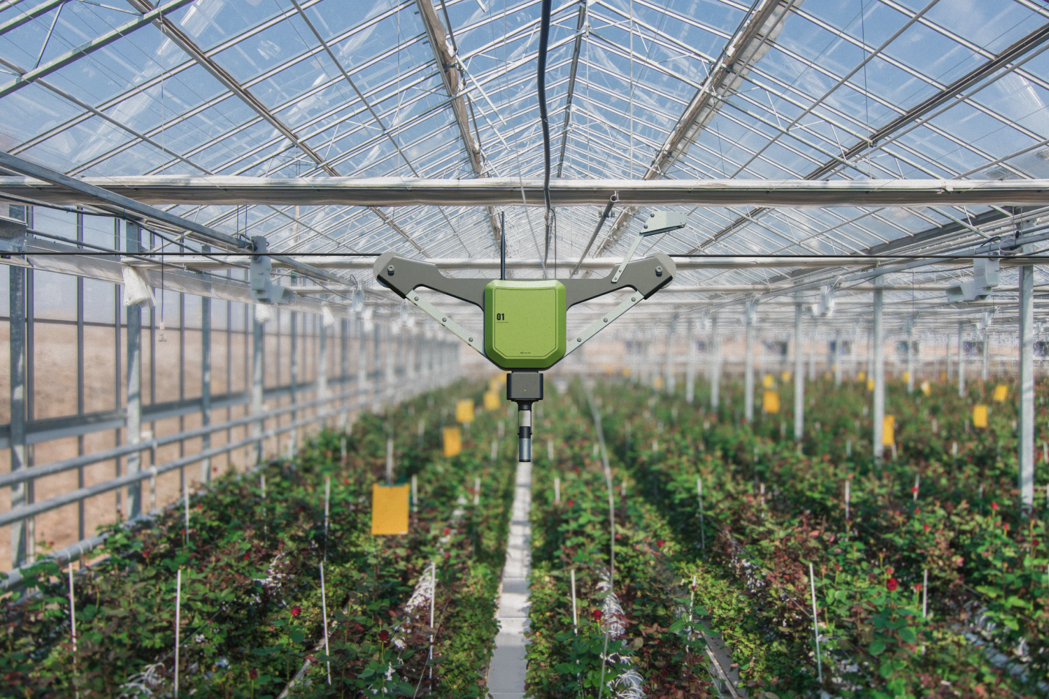 FLYING FARMBOT, 2024